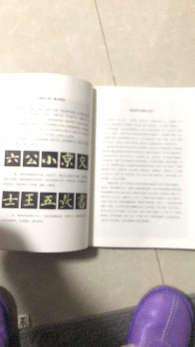 最近比较喜欢颜真卿的字，买来看看。挺清晰的，就是有点味道。会认真看的。信赖，几乎每个礼拜都从买东西。家用大件小件，大到家具小到纸巾，多的都数不过来。家里的每个角落里都能见到，从买的东西。物流快，东西也值得信赖，产品质量有保障。服务态度也好，经常会有些活动。快递小哥服务态度好，快递也快，只要是晚上十点之前下单，第二天都能到，省去了很多的麻烦。如不喜欢或者是有质量问题，快递带着新的来换旧的，真心的很贴心。