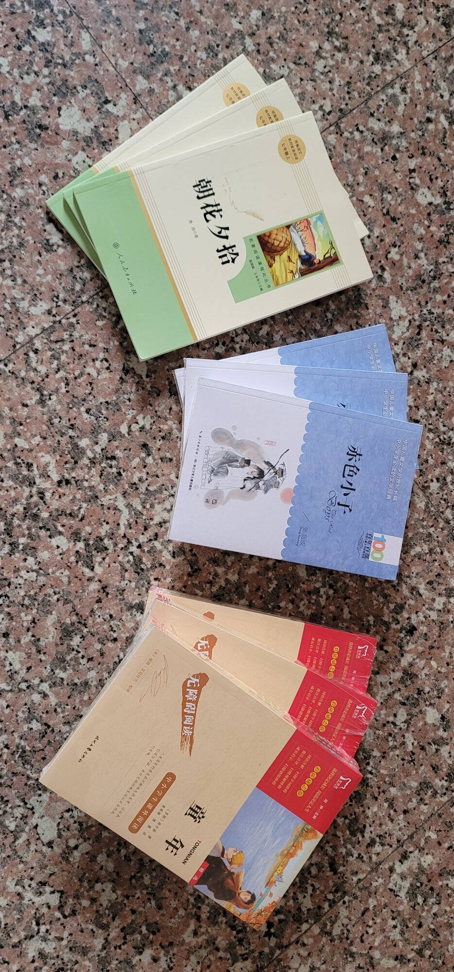 快乐读书吧小学六年级上册阅读:小英雄雨来+爱的教育+童年(共3本)六年级课外阅读书籍/智慧熊图书