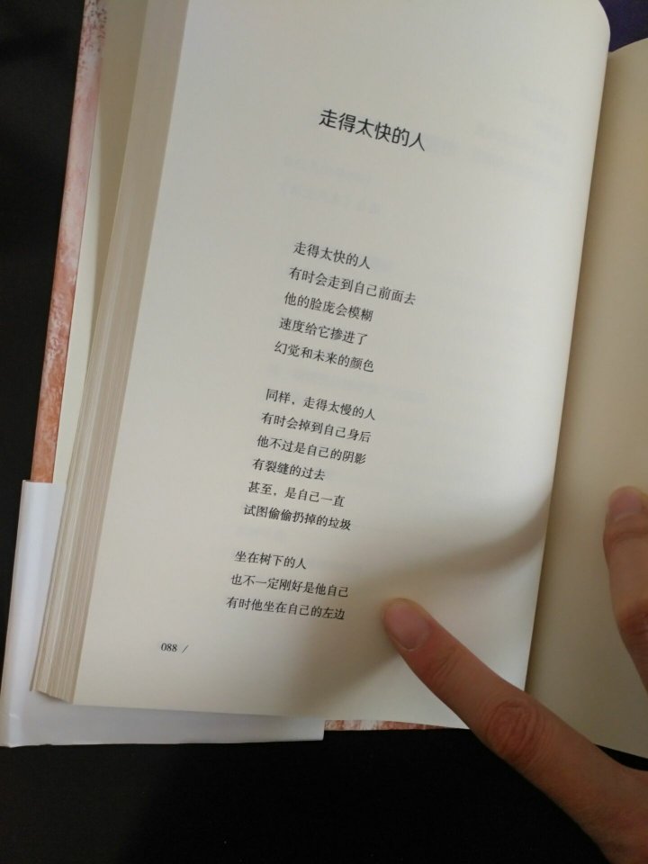 李元胜的诗歌就是一个诗意的方程式。他的诗歌就像他和自然、生活的偶遇之作，漫不经心却又充满着浪漫哲思的气息。比较喜欢