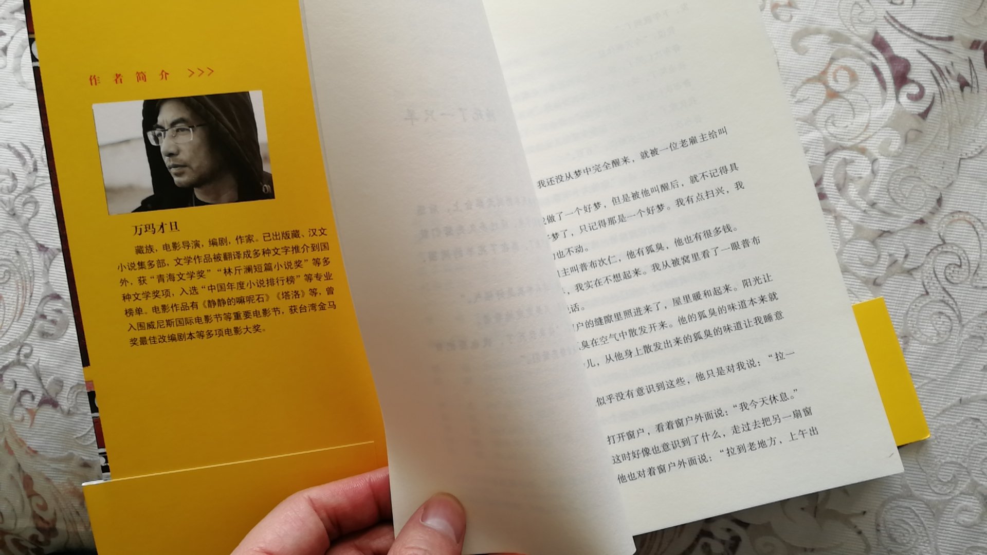 撞#一只羊，台湾金马奖作品，应该值得读一读。期待书中的精彩。