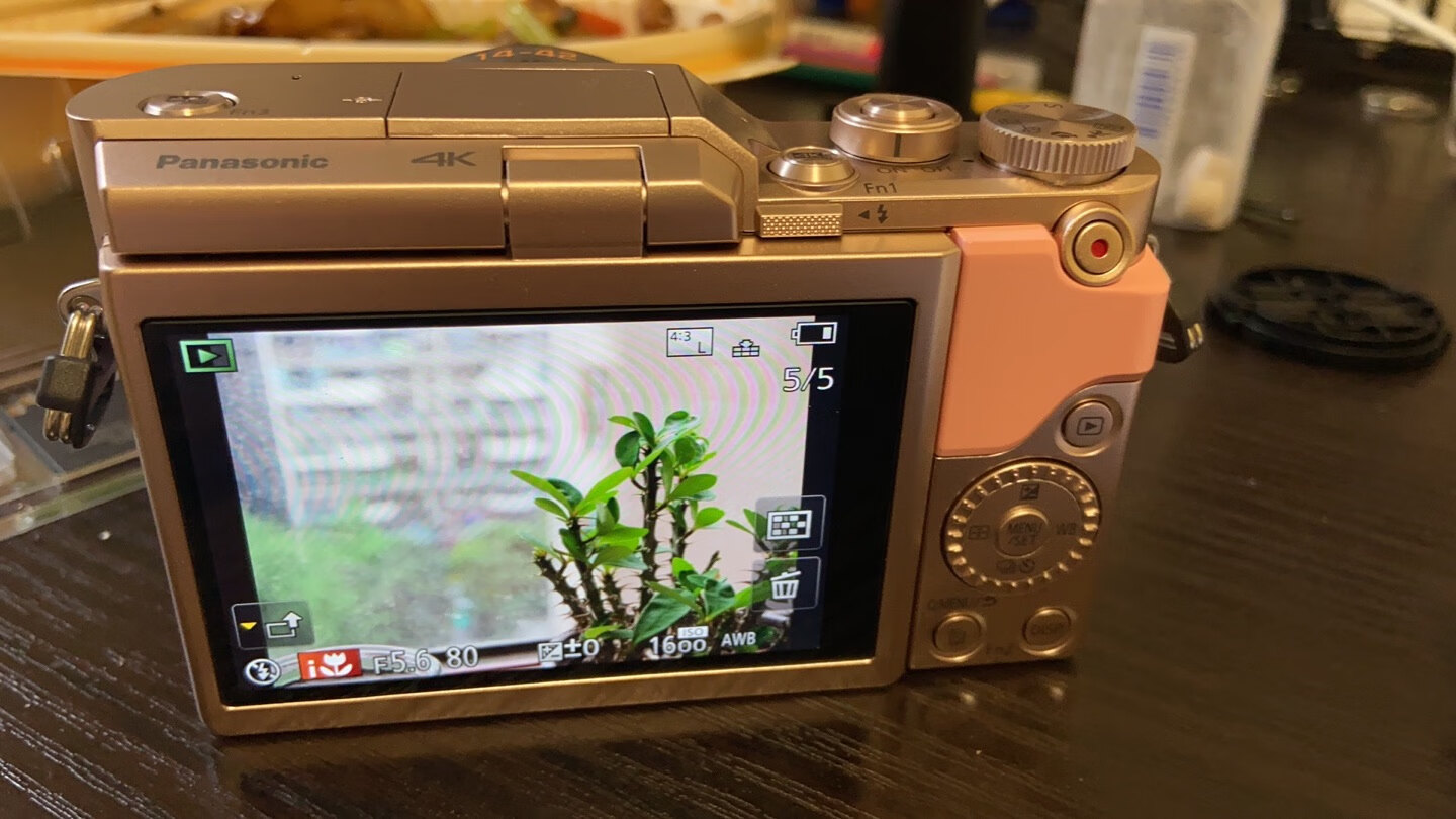 松下gf10套机1232mm点评