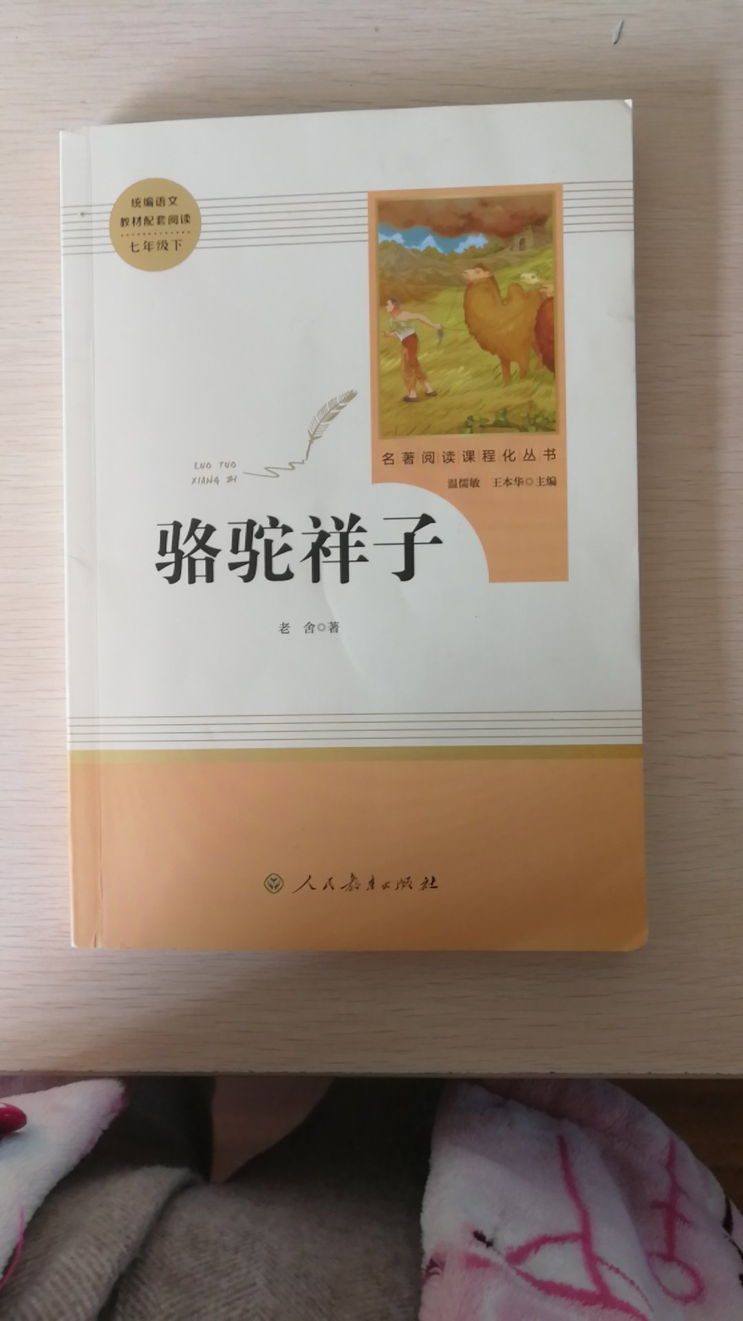 初一必读，大出版社出版，挺好的。