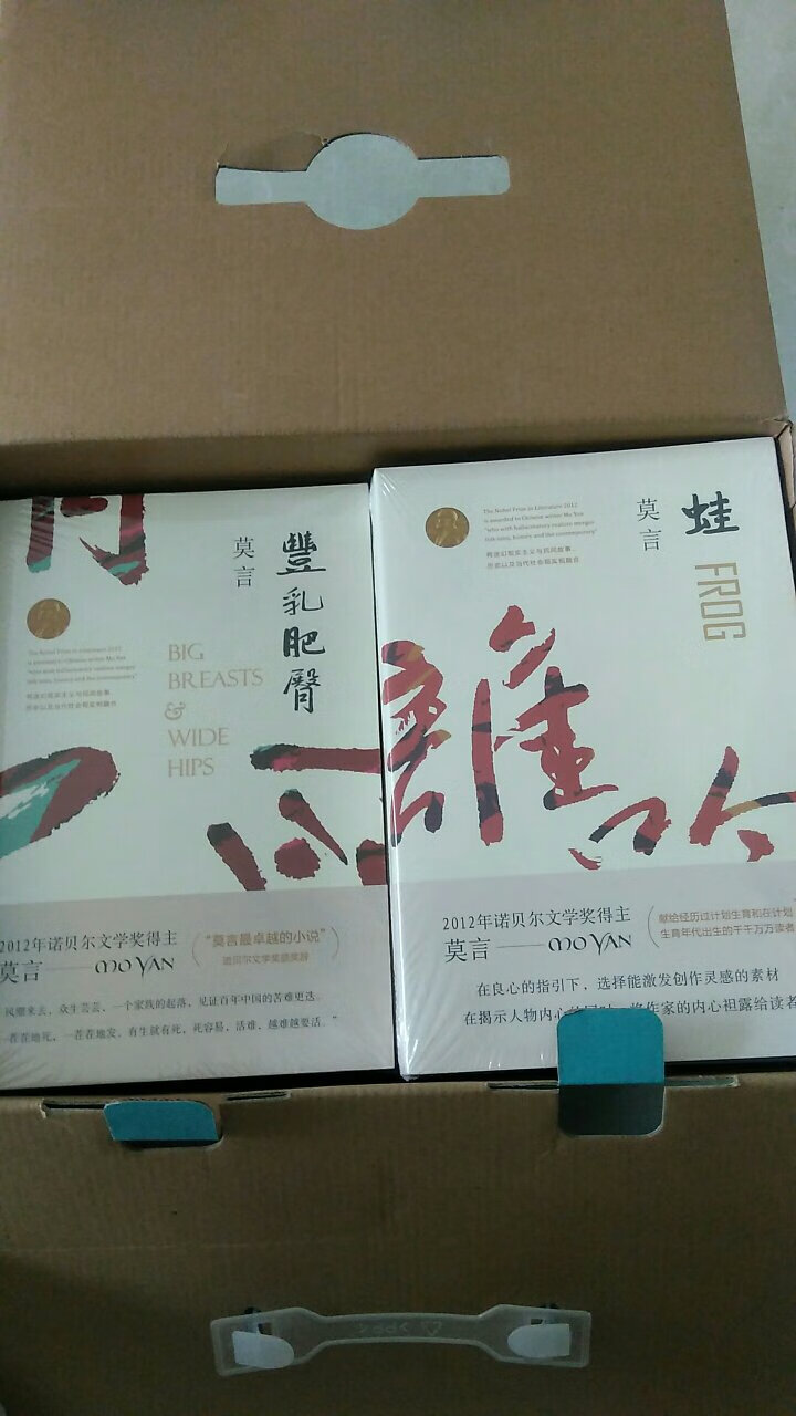 满满一厢，包装完好，还送了手提袋！！！！！