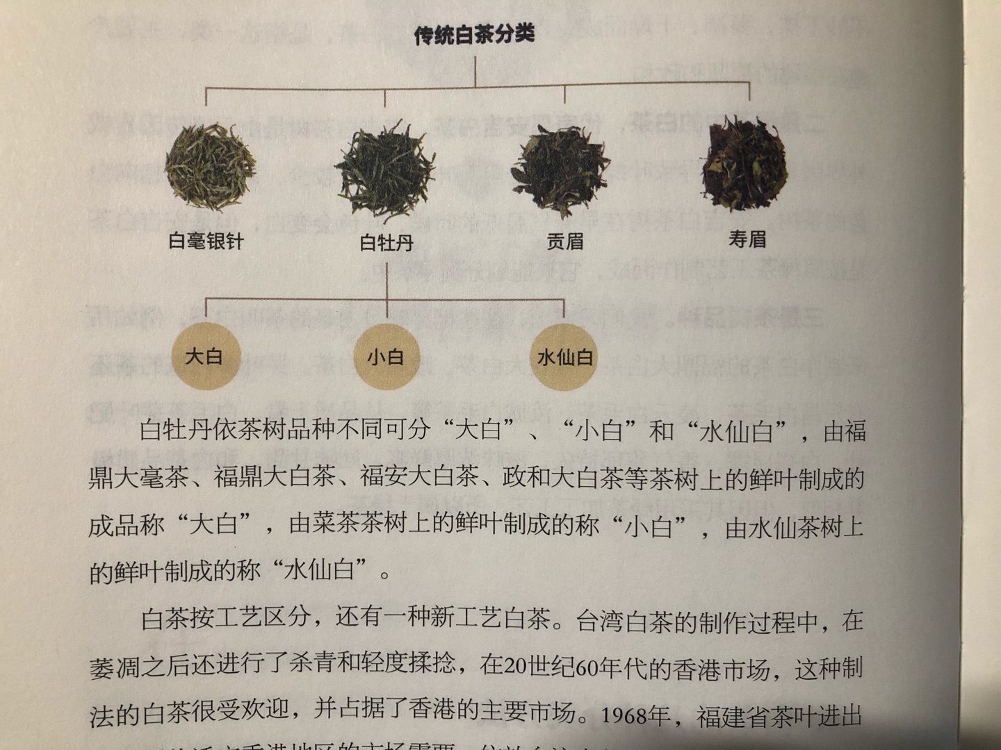 目前国内写白茶比较全面的书，前半部分是讲历史啊白茶不同树种啊等等理论知识，配图比较好，看起来不会太无聊，后半部分基本是白茶各大茶企背书推广。