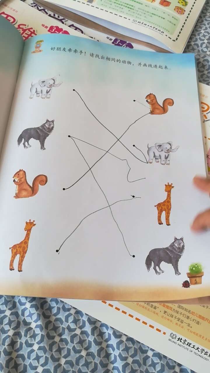 这本书对4-5岁的儿童比较适用，我女儿非常喜欢，能有效培养孩子的逻辑思维能力