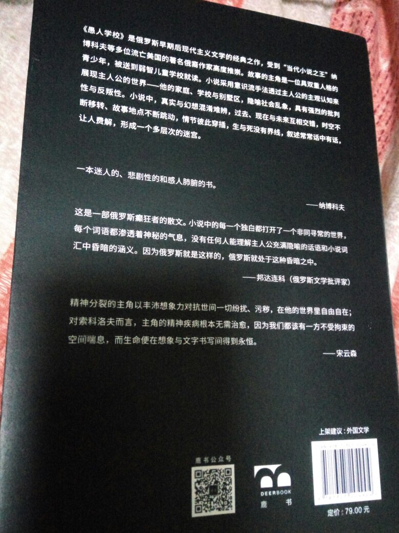 《愚人学校》终于引进了，唯一的汉译本，插图也很棒。