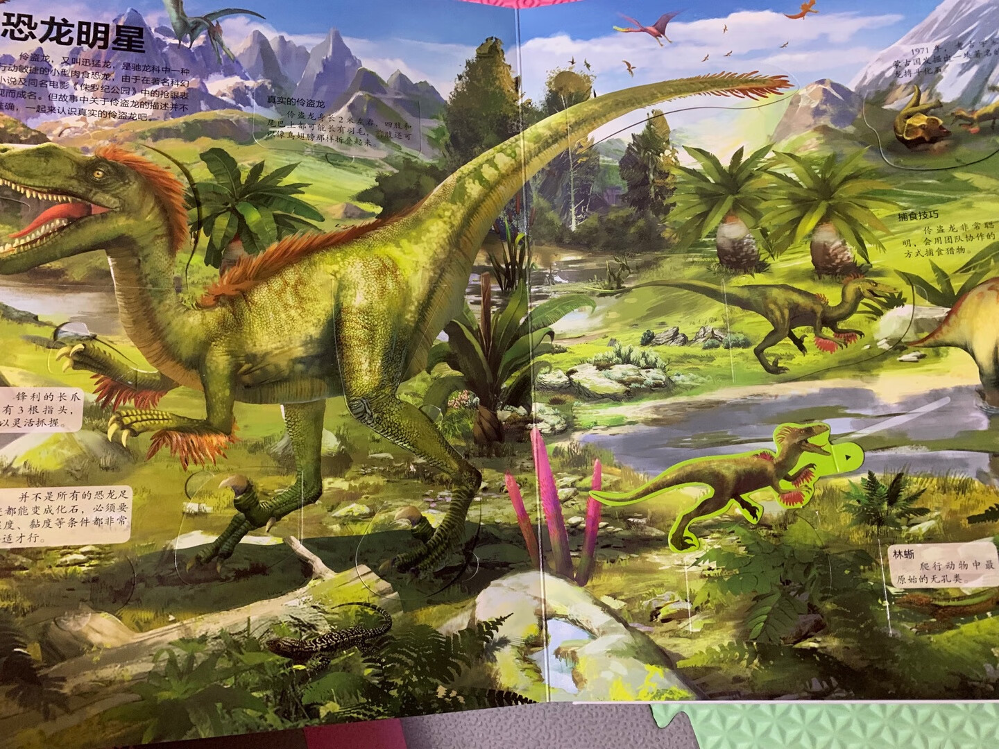 喜欢的恐龙的小朋友可以入手，介绍了一些恐龙的知识，还能动手翻翻，做的挺精致