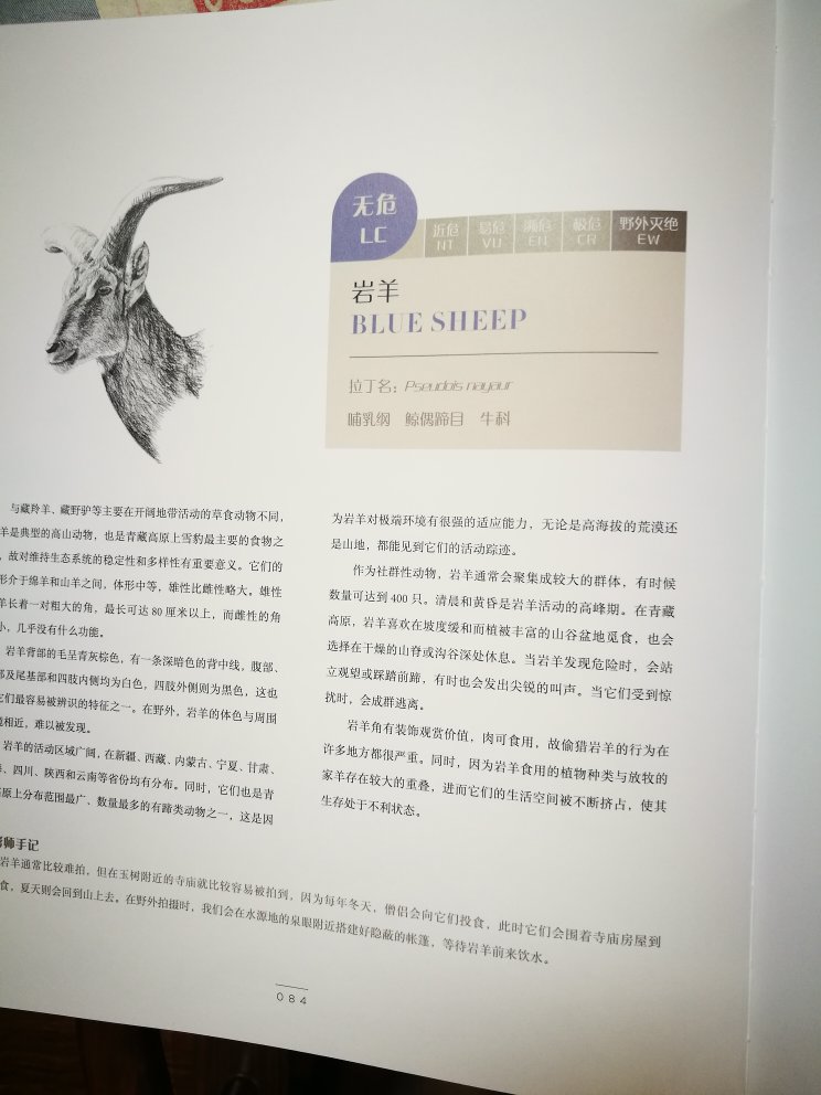 东西不错，快递给力，满意～