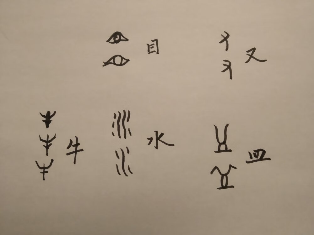 从甲骨文和金文看，造字就是从最基本的日常生活取材，写字就是画画，从具象中概括抽象出最基本的特征，看那带底座和耳的盛水器皿，田野里随风舞动的麦穗，蜿蜒曲折的河流，活灵活现的动物形象，生动的眼和手臂。从字能看出我们中国人是视觉导向和图像思维的，是善于抽象概括的，是能写会画的（比起能歌善舞的民族来说，中华民族一贯崇尚书画），对父母，对祖先的感恩和怀念深植于血脉，如此等等的一群人。从这个角度看，汉字就是中华文明的基因密码。时间已经是3月，汉字日历也已撕下6-7张，书写祖先创造的文字成了我触摸这地球上唯一延续数千年不曾间断文明的方式[咖啡]