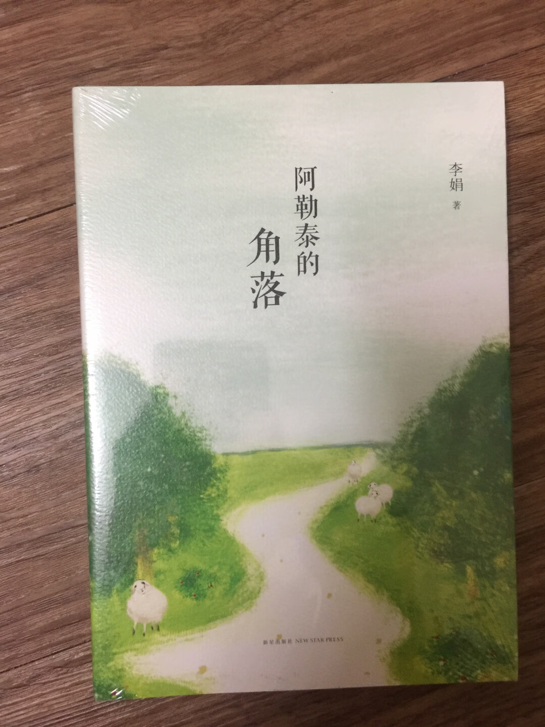 李娟的《阿勒泰的角落》，李娟的作品真的是一生推，捧着她的书就一口气读完了！羊道三部曲还没看完就迫不及待的入了这本书，等着看完了再看吧。