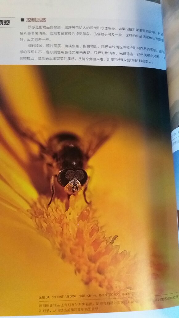 蜂鸟出品，很好的一本摄影书。