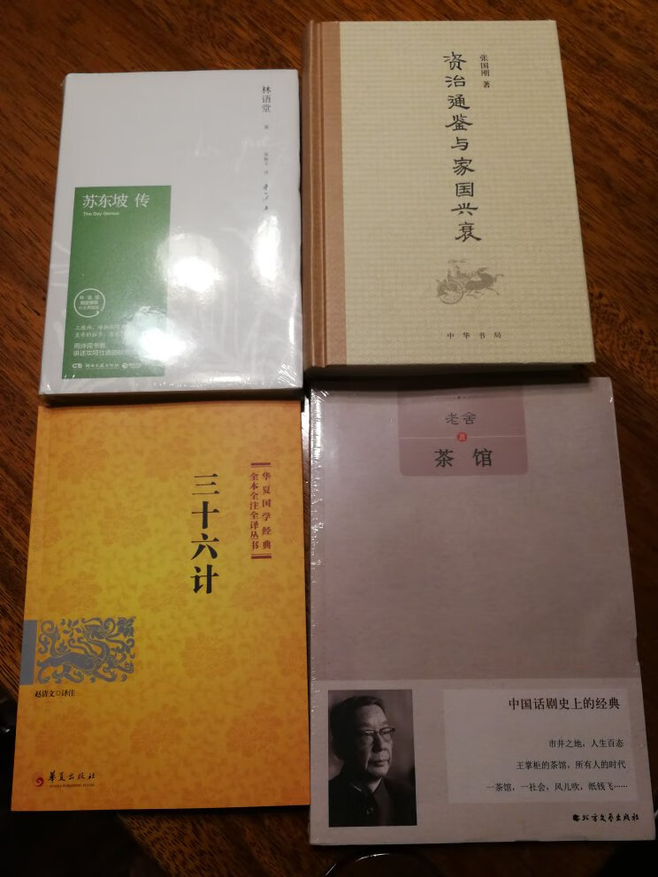 儿子读了国学，了解苏轼的伟大，来本传记加深印象，奉为楷模。