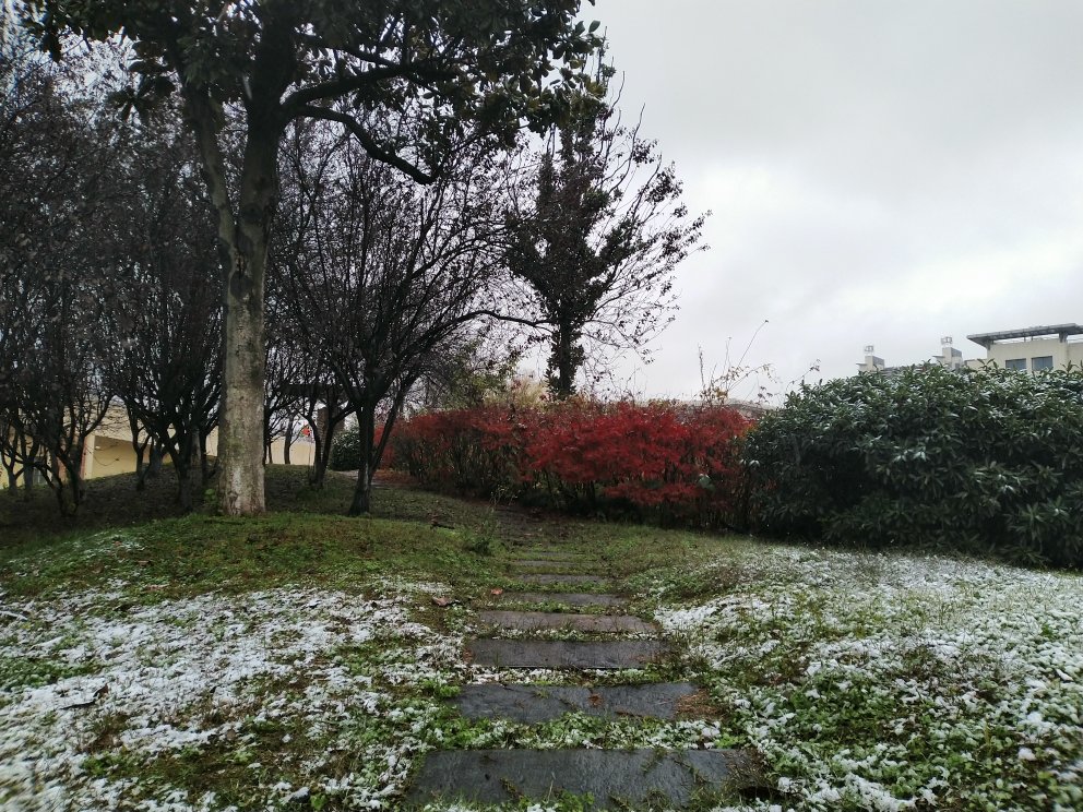 镶嵌学校里的庭院中的石板路就如题，踏过去，面对花田；屹立在土地上的初雪下的草儿就如我，熬过去，迎接春天。