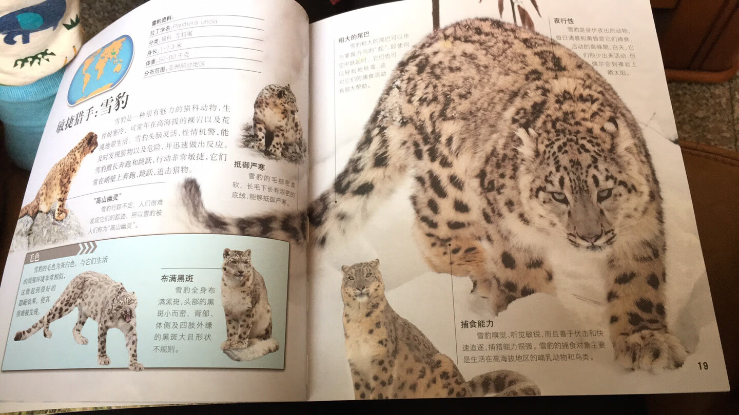 书本印刷清晰，孩子可以认识很多动物。