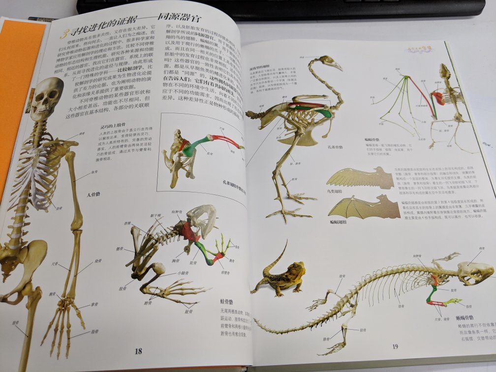 包装还挺夸张的，书很好，就是可能一般的读者一开始会有点接受不了太多的解剖标本吧～