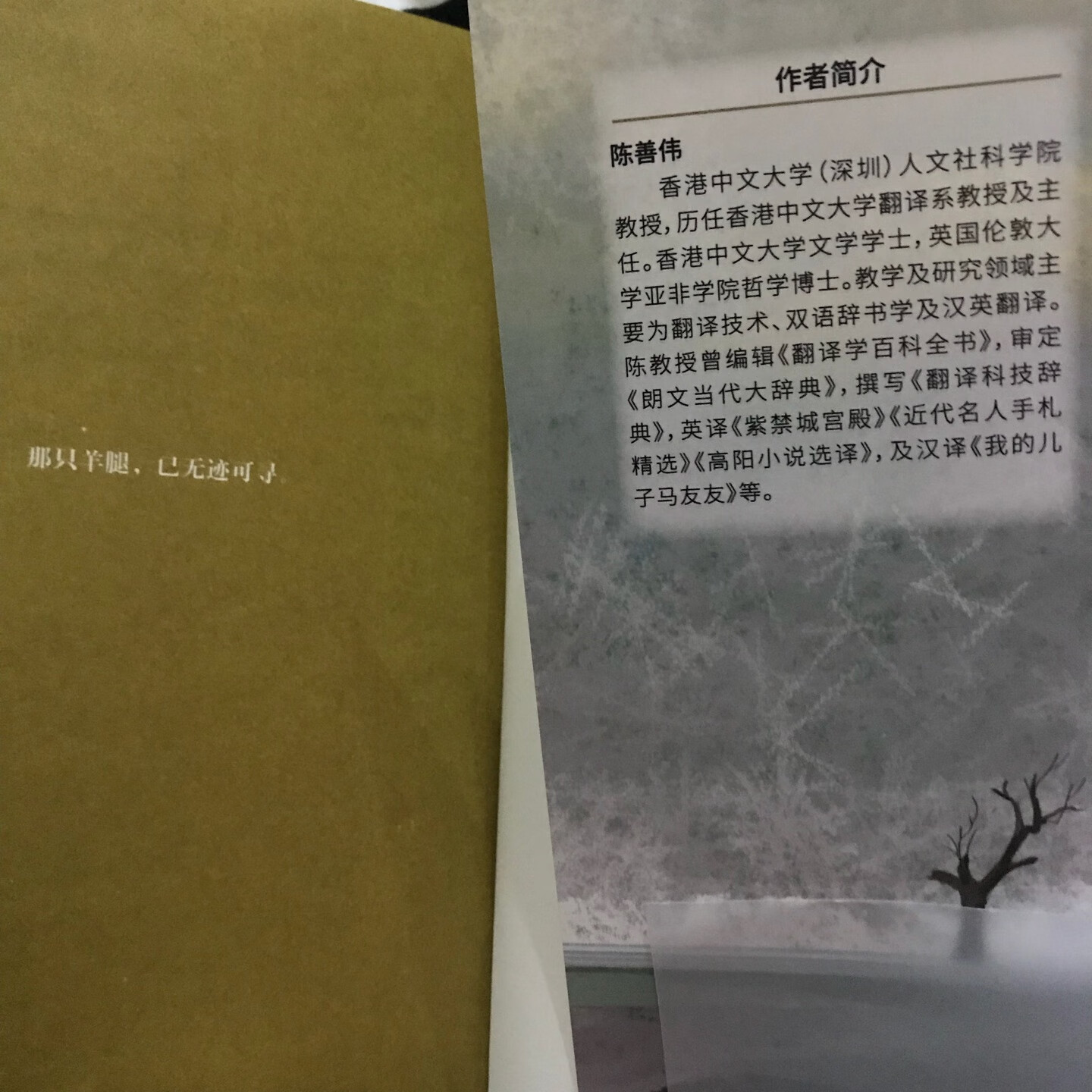 一本超好看的悬疑小说，主编还是香港中文大学的翻译教授，整套书都非常好。