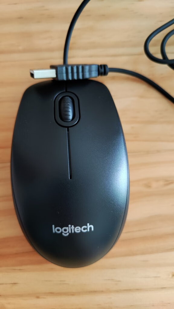 罗技b100企业版有线鼠标