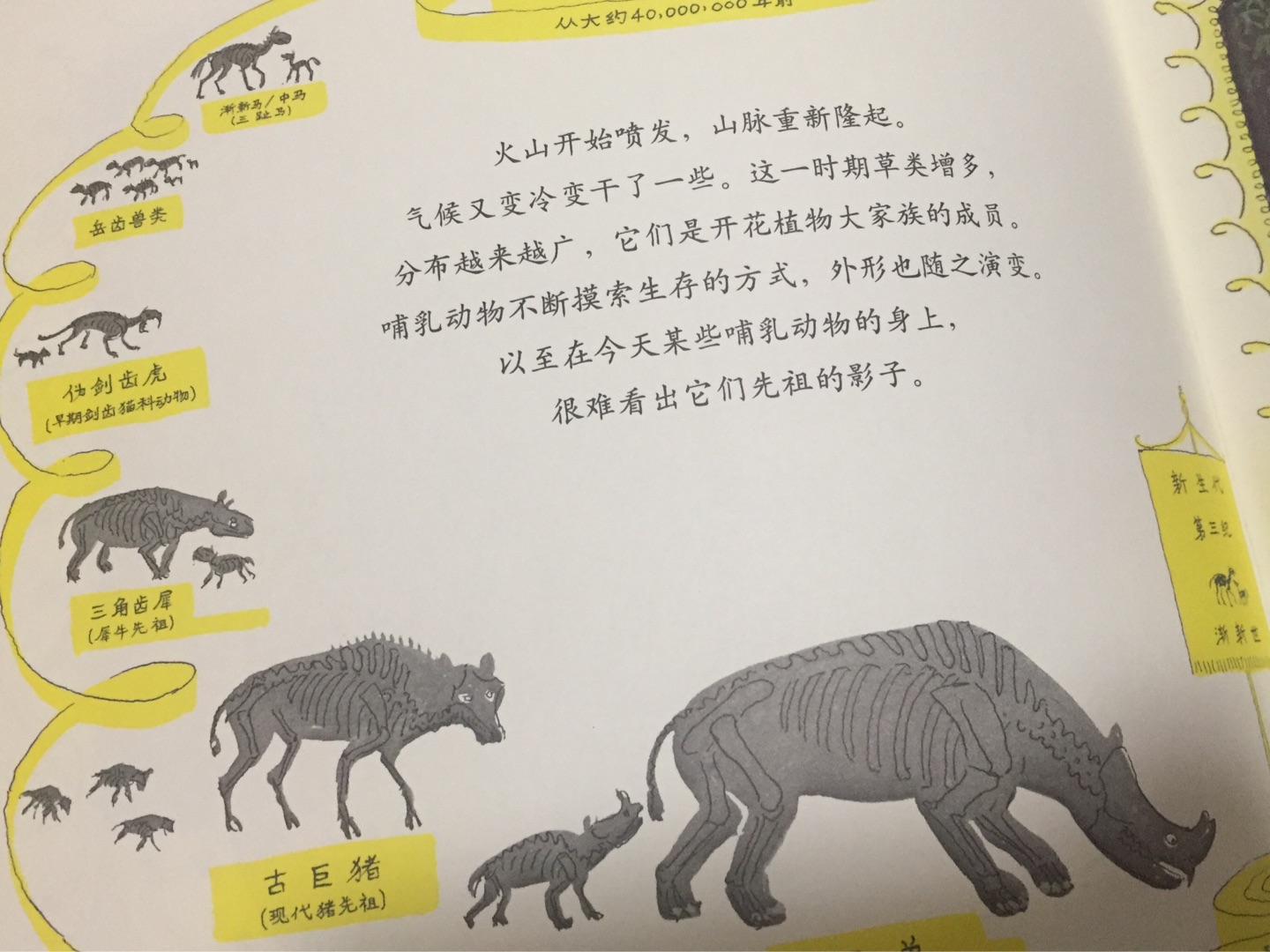 二年级的小朋友不是很感兴趣，放到三年级再看吧