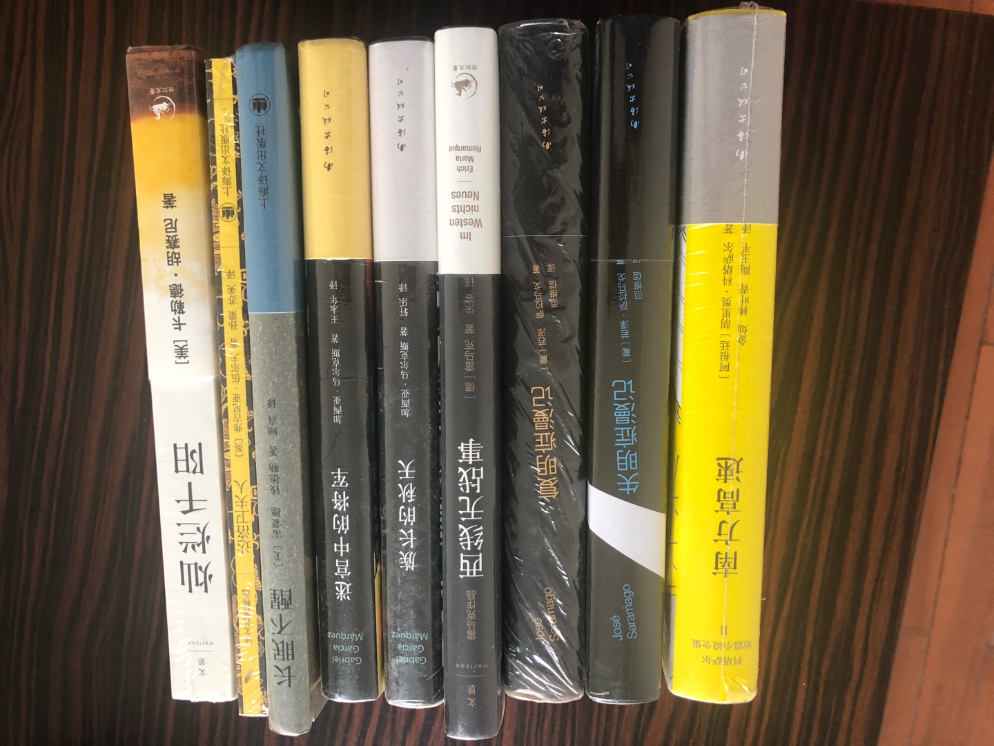 最近迷上拉美文学爆炸时期的作品了，博尔赫斯买了十本，马尔克斯，略萨都买了五六本，科塔萨尔先买这本最经典的短篇集试试水。