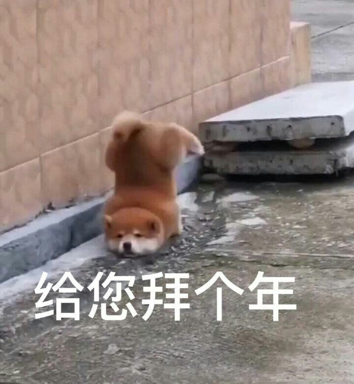 物流超快！书也都保存完好 下次还来(?•??•?)??