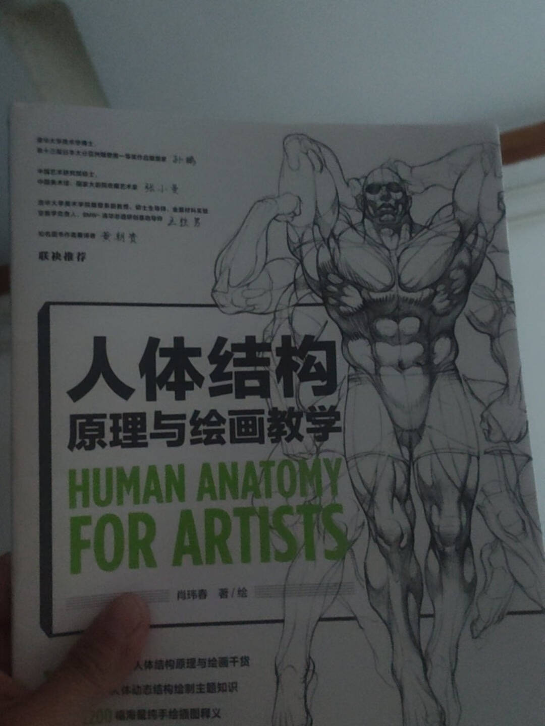 人体结构原理与绘画教学