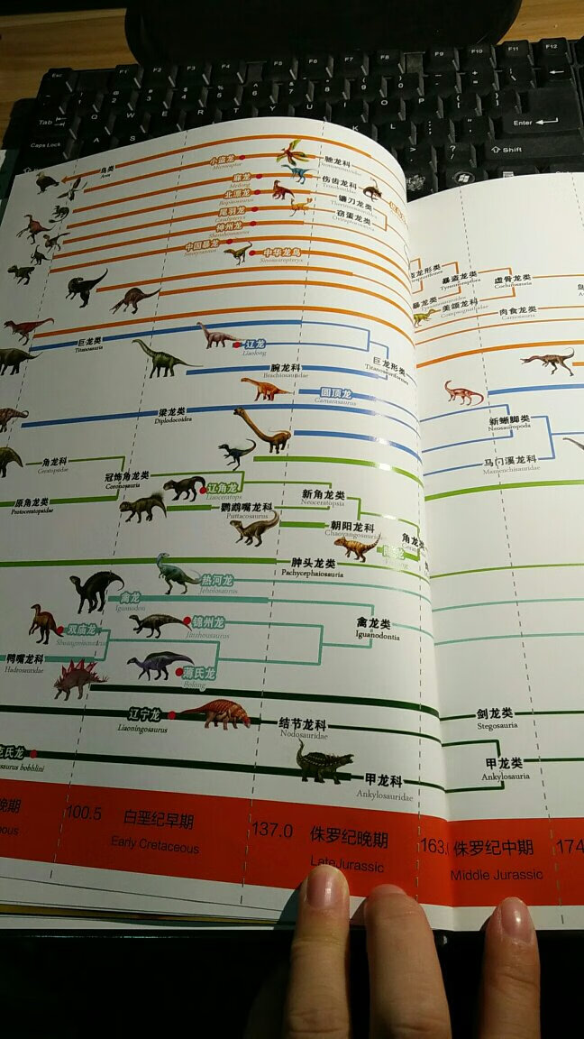这个书收到真的惊到我了，很厚的一本，就像书名一样，中国恐龙百科全书，150种恐龙不为人知的生存与演化进城。讲到了恐龙的分类，生活的不同时期，辞源，标本，档案凤恐龙习性介绍，我家5岁的孩子看到后让爸爸给带着讲了很多。对于大人来讲，看了也能增长知识，我觉得更像一本大字典。但同时图文并茂，读起来没有枯燥。好评。