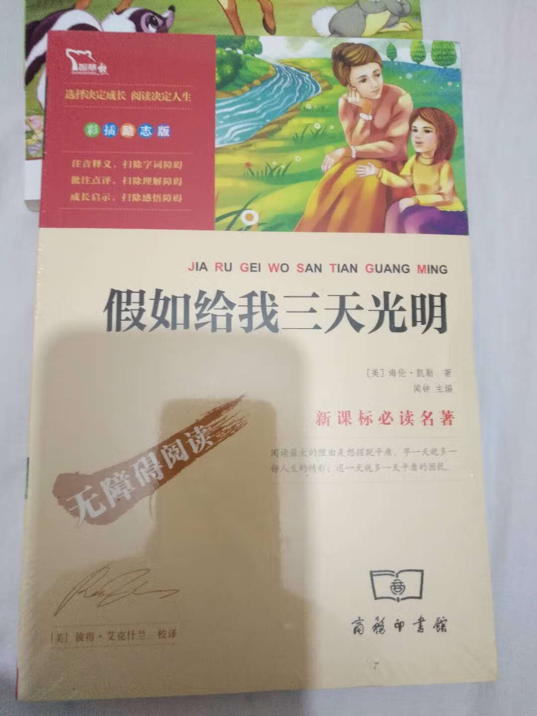 孩子小明年再看，同事家的孩子看过这本书，很励志