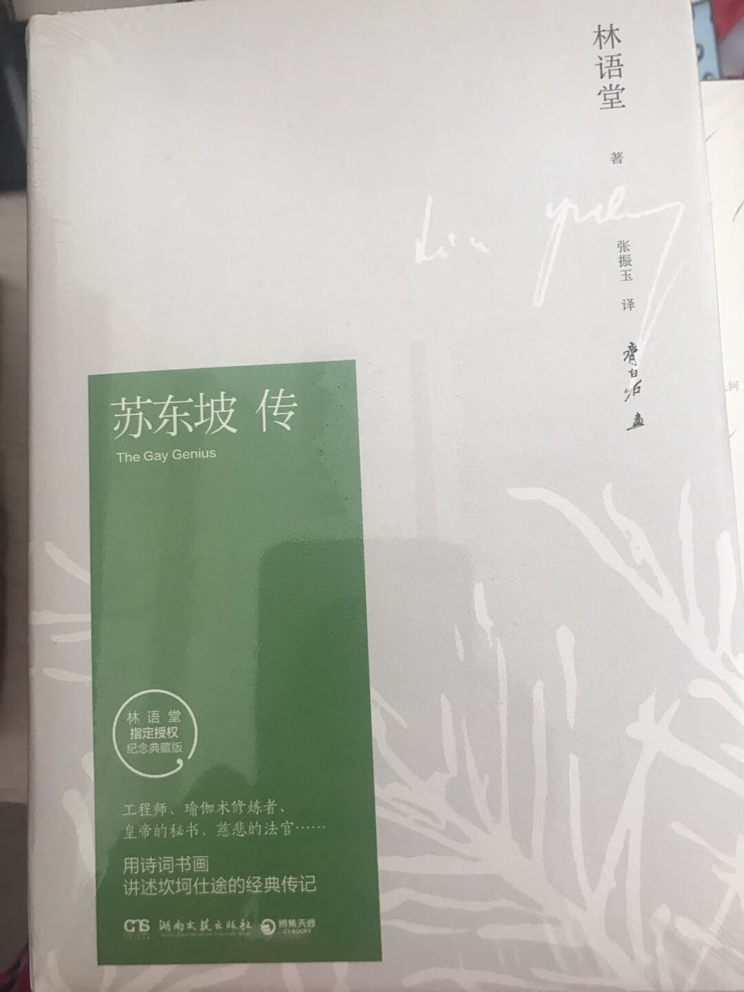 一直想买点书，书一直有点优惠，刚好图书节，200-100很实惠，一次买了好多，够看一阵子了，到货很快