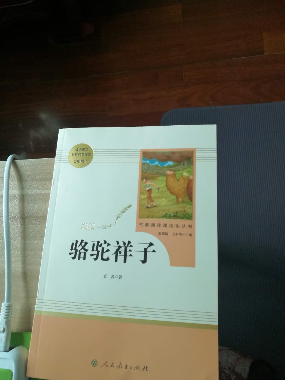 好。老师要求买的