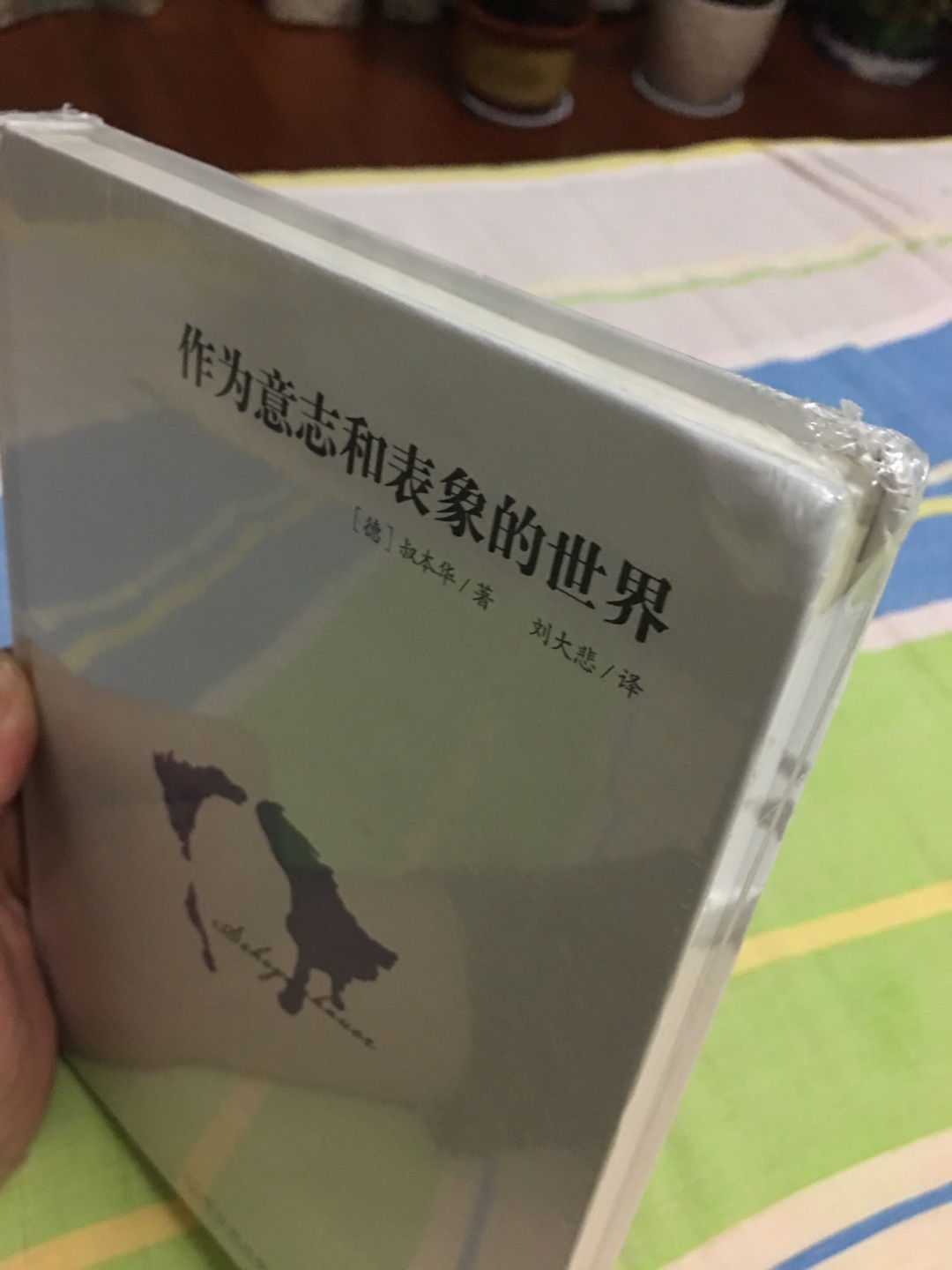 叔本华的代表作，台湾译版很经典。书是正品无疑，美中不足的是边角处有折痕。