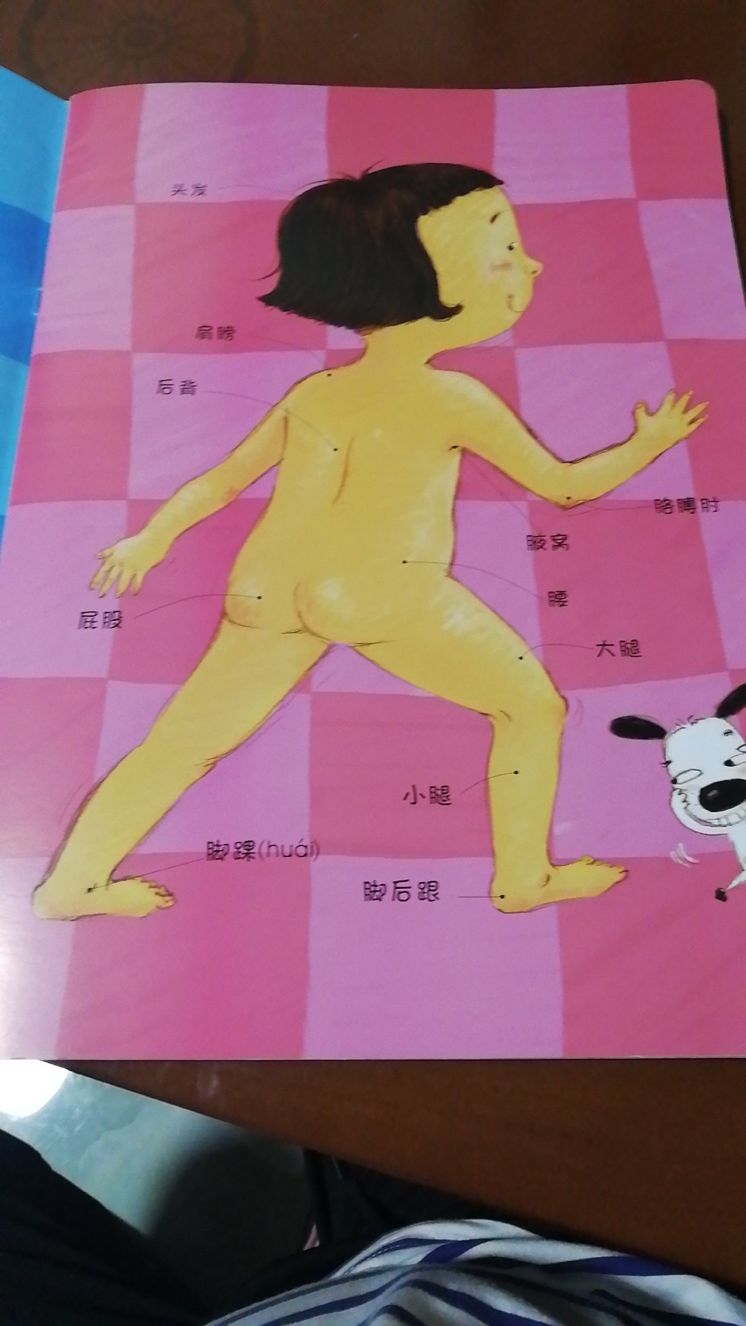 这个图配的真的很好，可以让孩子认清楚自己的器官都有什么作用，可就是为什么太多了～。～