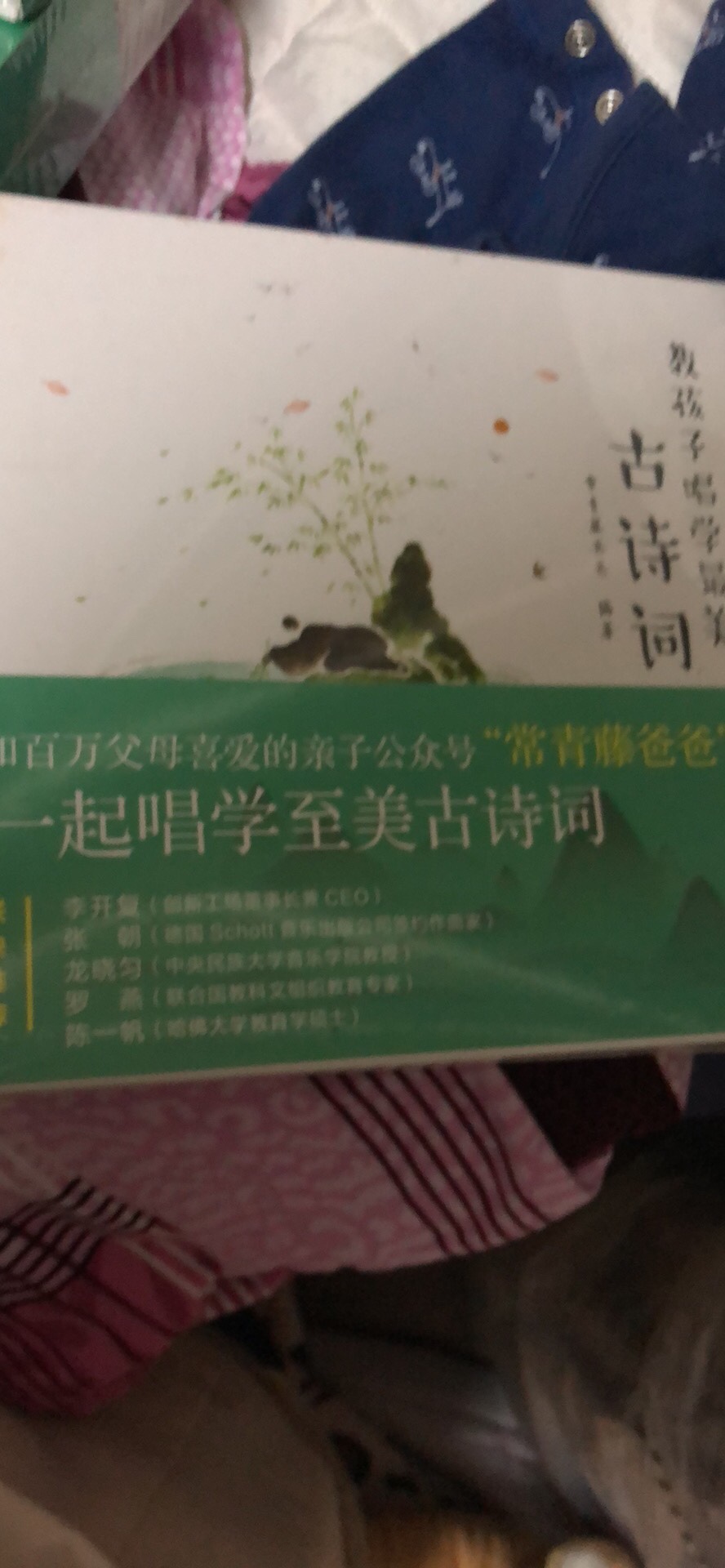 ????教孩子唱学最美古诗词 常青藤爸爸带你唱读古诗词 经典咏流传（套装共3册）价格便宜