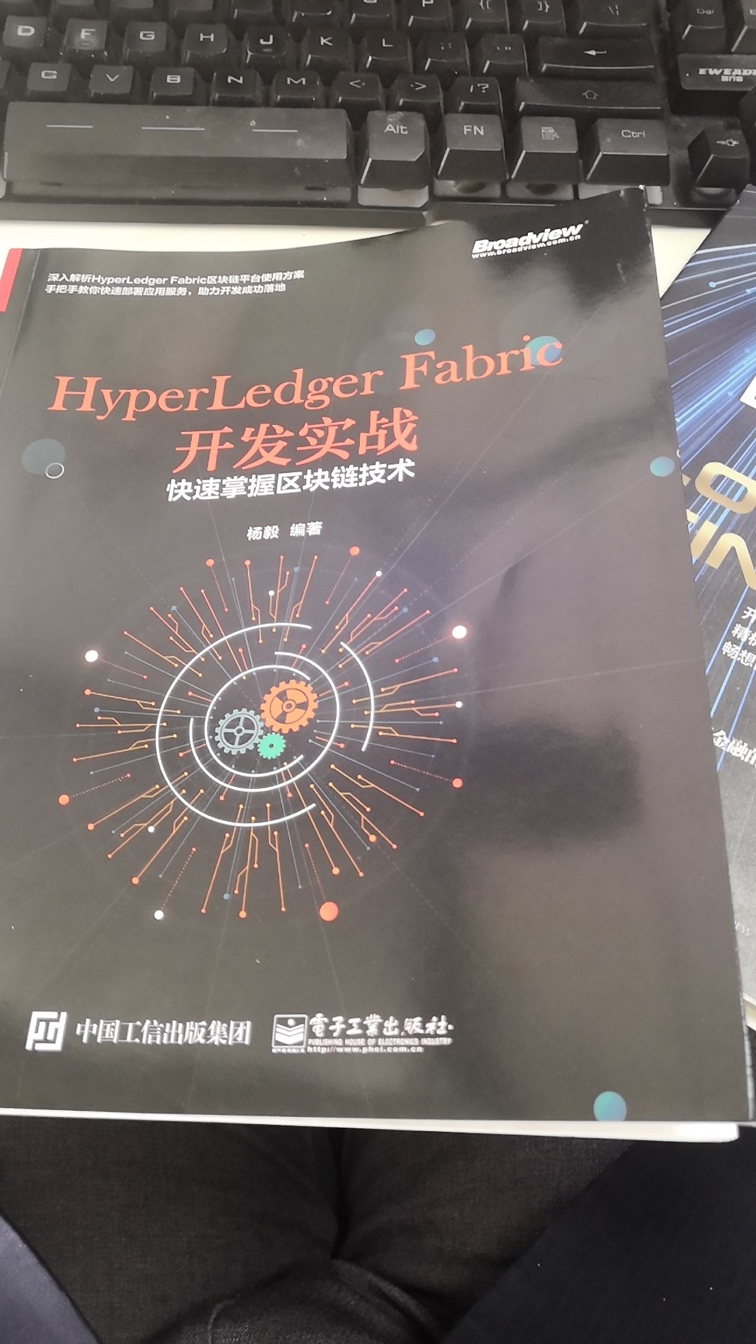 这本书重点是fabric实施，底层讲的少些