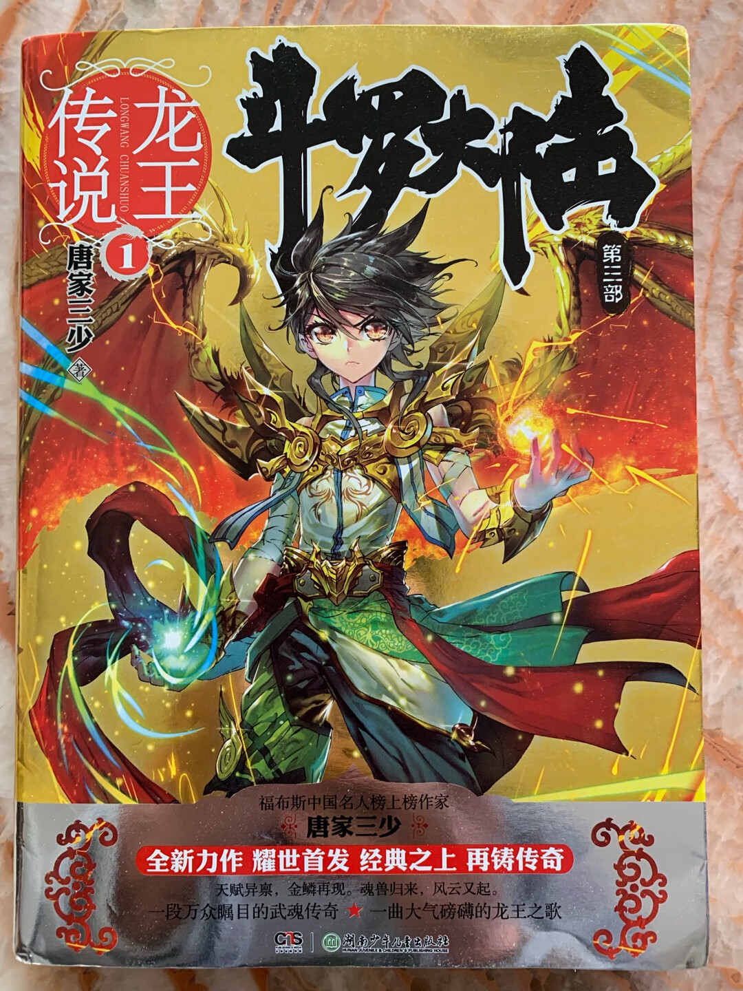 给儿子的新年礼物?