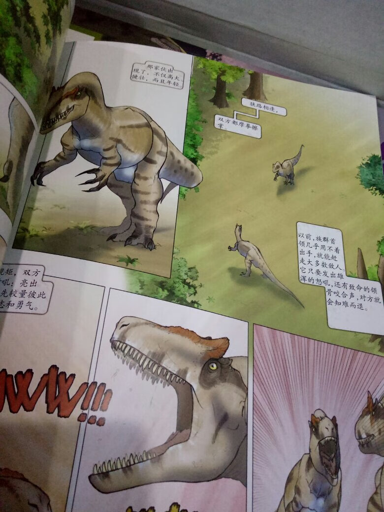 家里的小朋友超爱恐龙 他的愿望就是长大了变成恐龙 哈哈? 看到该书毫不犹豫的购买 看到书觉得物有所值 很赞(≧▽≦)/