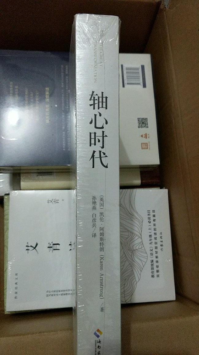 在买书，没有你买不到的，只有想不到的，看上了哪一本就买哪一本，想要什么书就去找什么书，总能找到你无法忘却的，总能找到使你心动不已先买而后快的。在外的日子，有了这些书与我相伴，不会寂寞孤独。有时有事离开，远点就会平添些许牵挂，再久点就会放心不下，譬如回到老家。直到我又来到它们身边，亲眼看到了它们，才觉得充实了许多，踏实了许多。每本书都是一个美丽而鲜活的生命，都有真实的灵魂。陪我度过无数闲暇，走过数不清的地方！