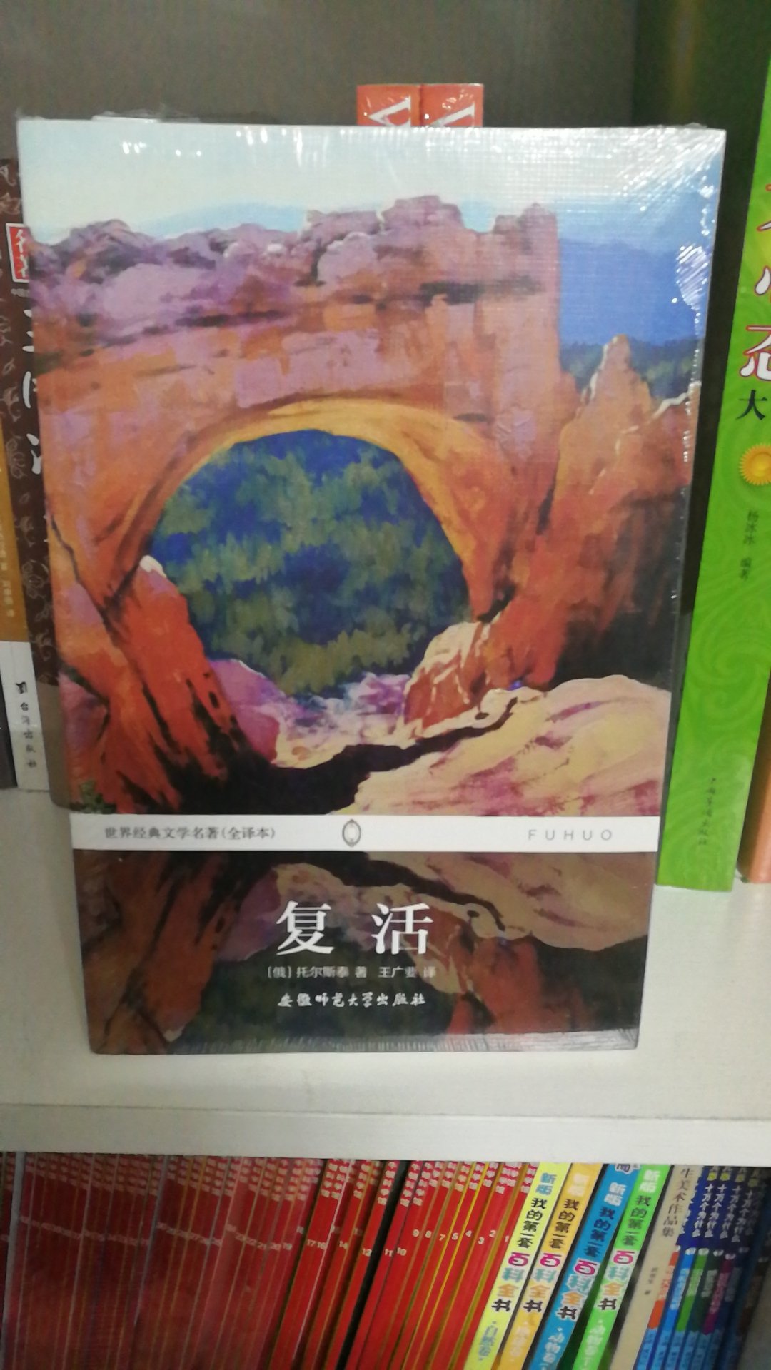 99元十本的最后一批，等的时间太长了！包装完整，无破损，屯起来慢慢看。