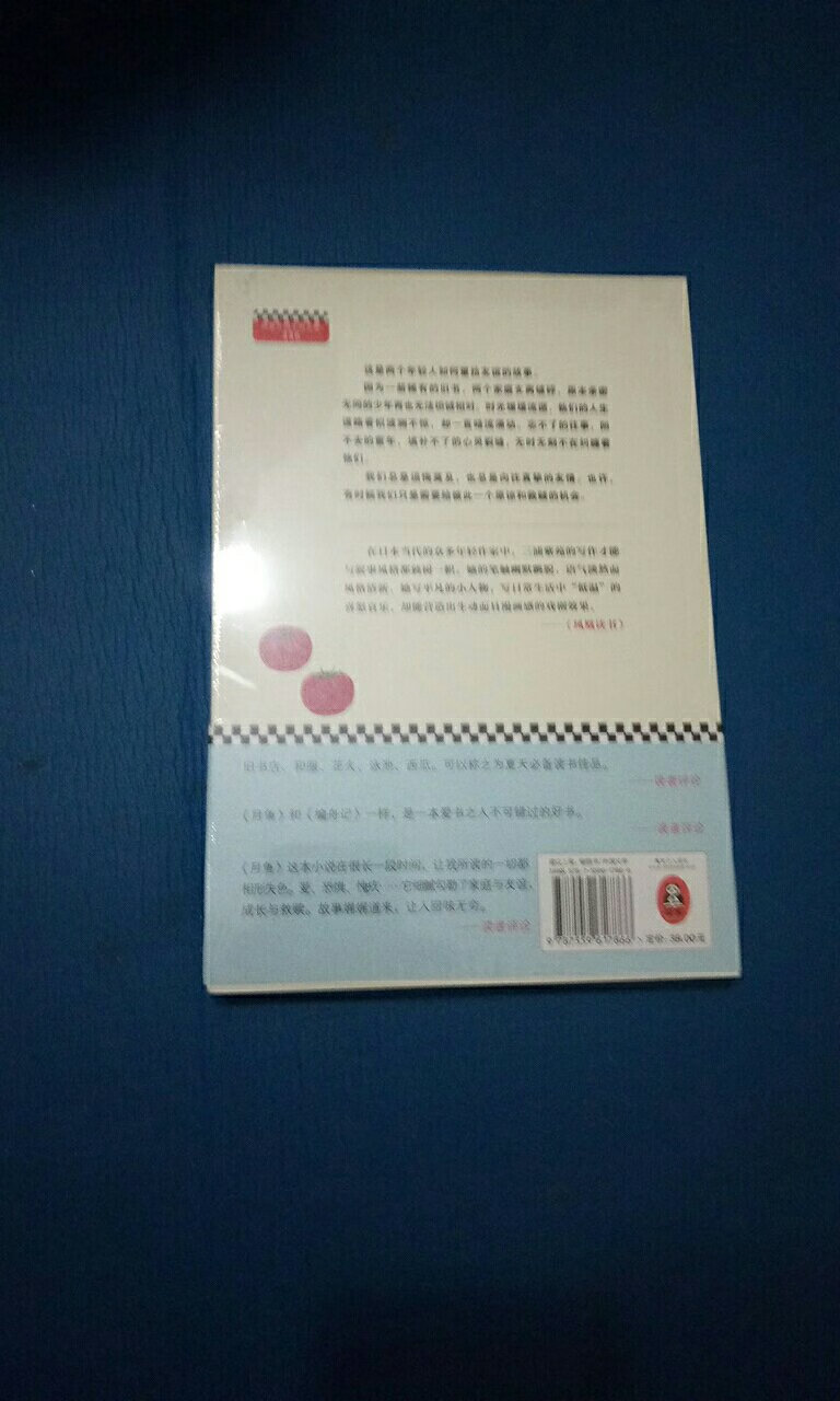 很淡雅的封面，希望宫崎骏的评价是正确的，书并不厚，但愿故事好看吧。