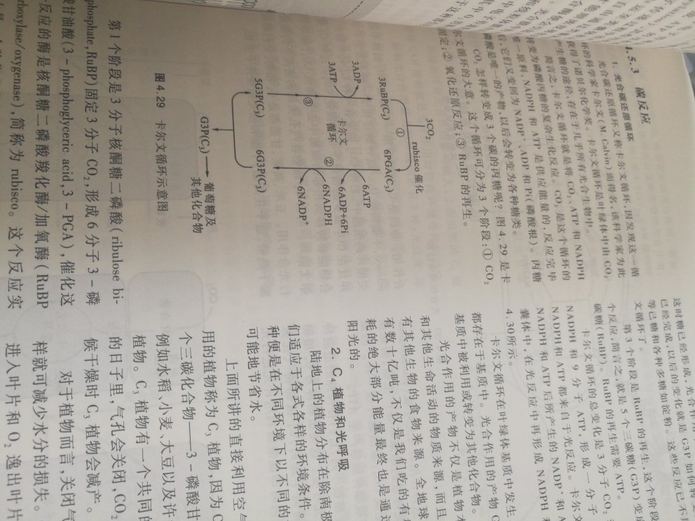 初学生物学的经典之作，为以后的细胞生物学，生物化学，生物进化学等打基础。