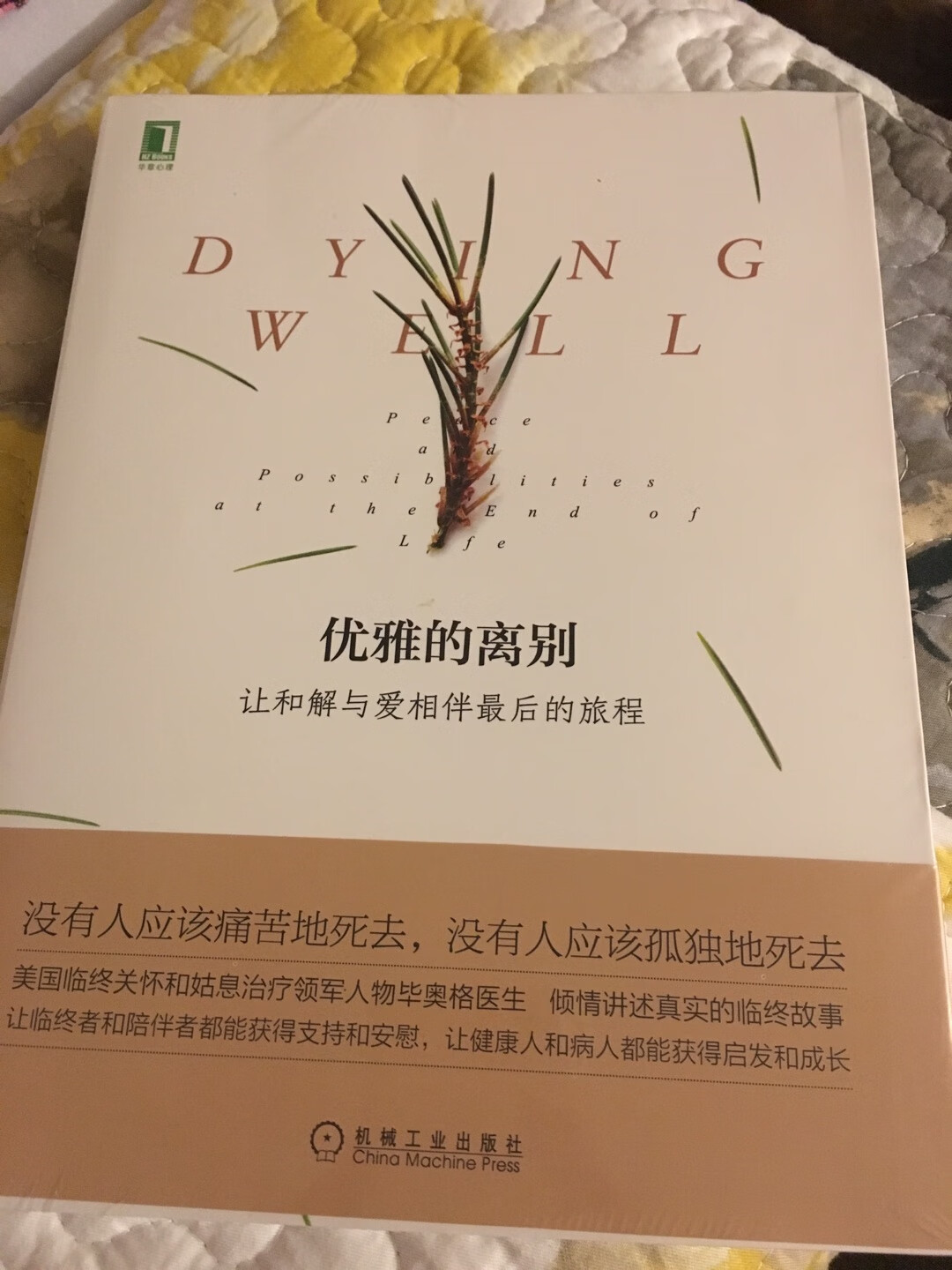 活着好好活着，我们随时会死的，知道不等于知晓