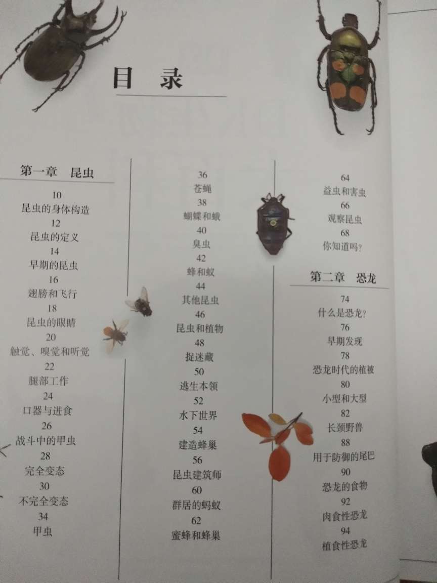 DK生物这本书太好了，挺厚的很大一本，关键是孩子一打开非常喜欢，介绍的也的很详细，一步到位直接入的DK科普，这本可以一直看到高中啦，大人看了也涨知识，我自己比较喜欢羽毛这块，孩子整本都喜欢，强烈推荐 值