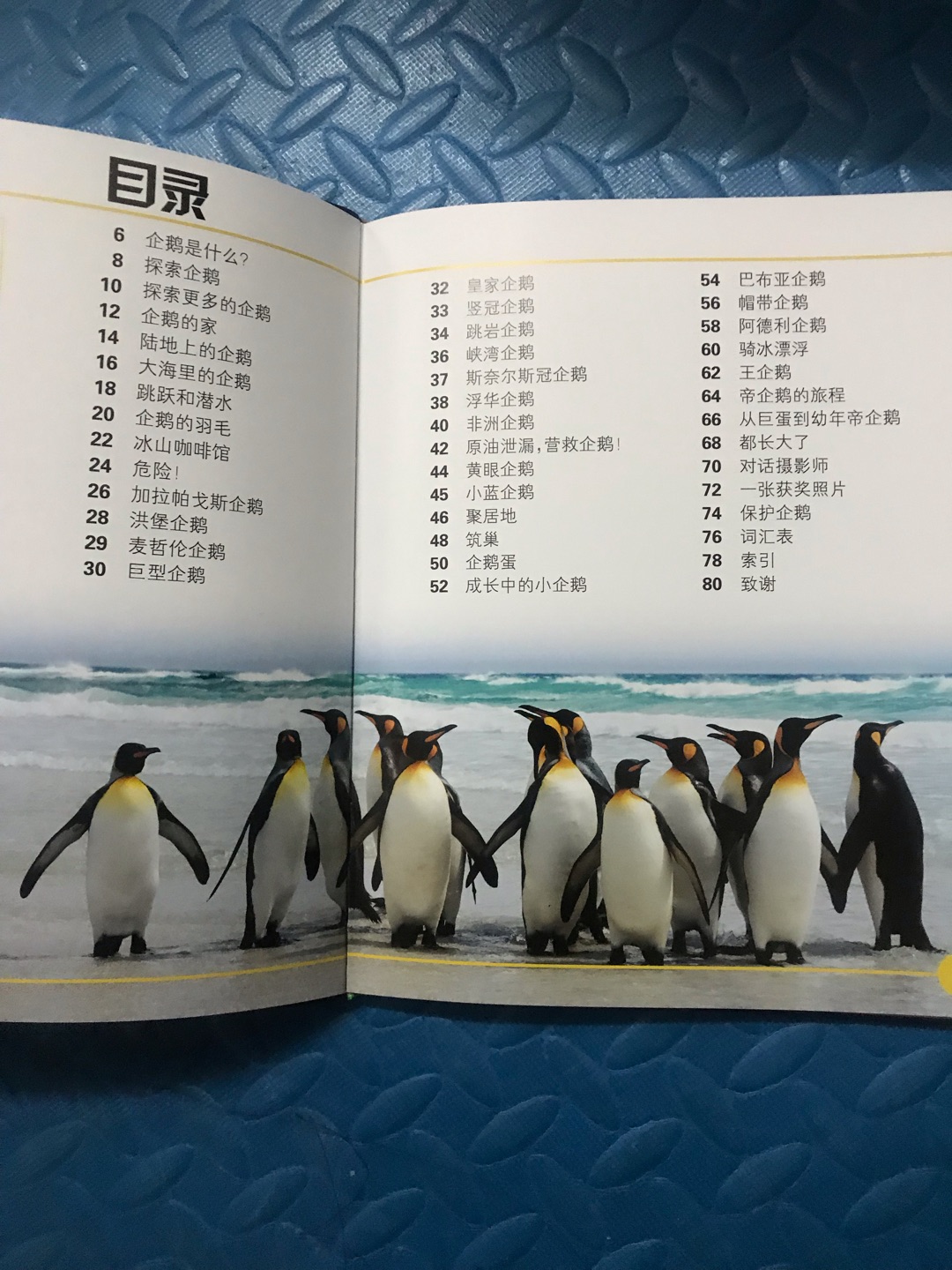 孩子喜欢企鹅，这本书有很多企鹅照片