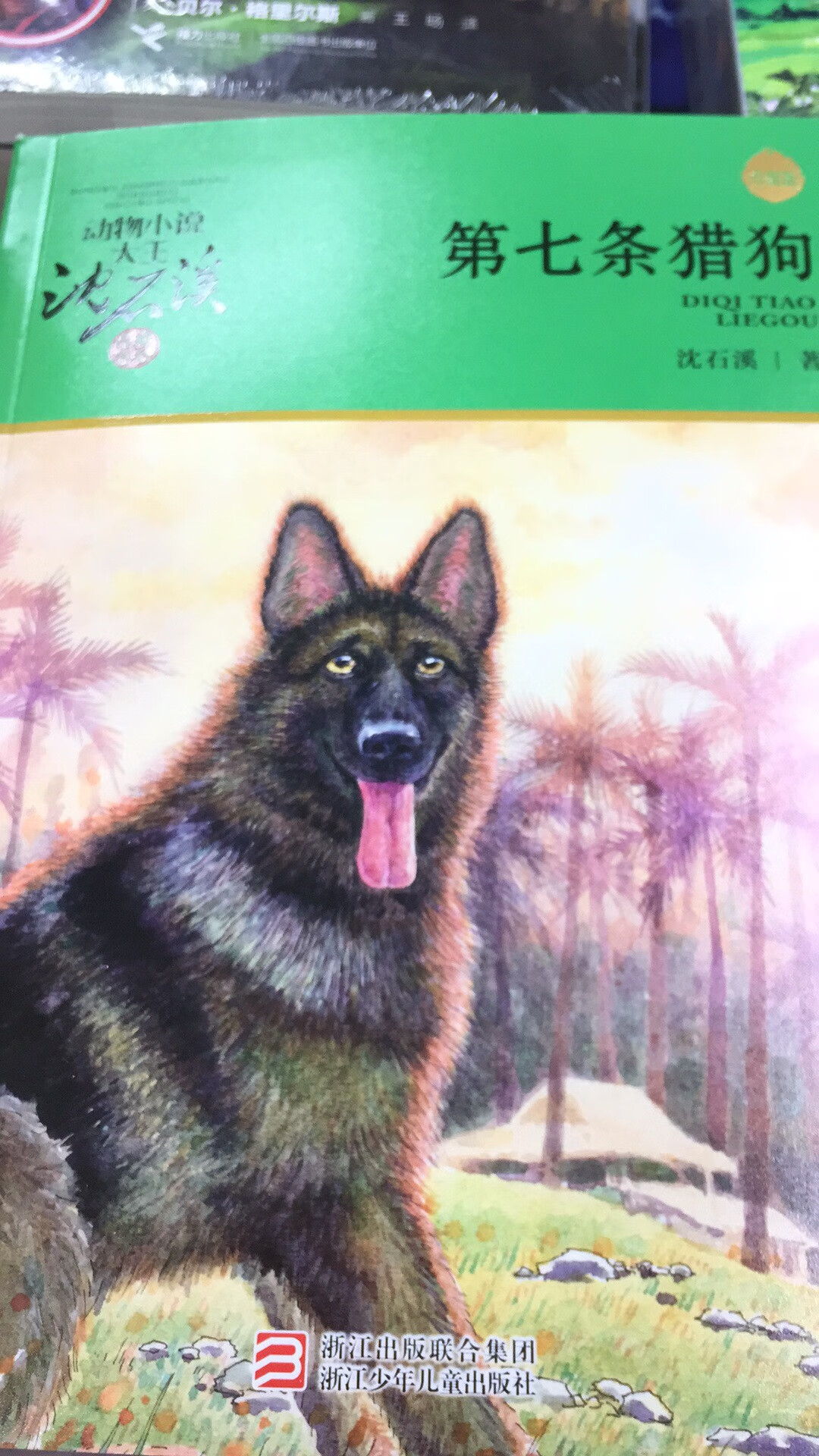 书的质量很好?内容生动有趣，动物小说类型，情节细腻感人！小学同学?‍?值得观看的好书！
