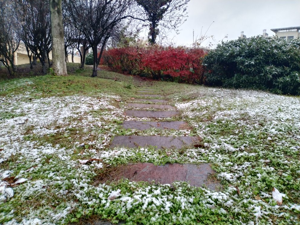 镶嵌学校里的庭院中的石板路就如题，踏过去，面对花田；屹立在土地上的初雪下的草儿就如我，熬过去，迎接春天。