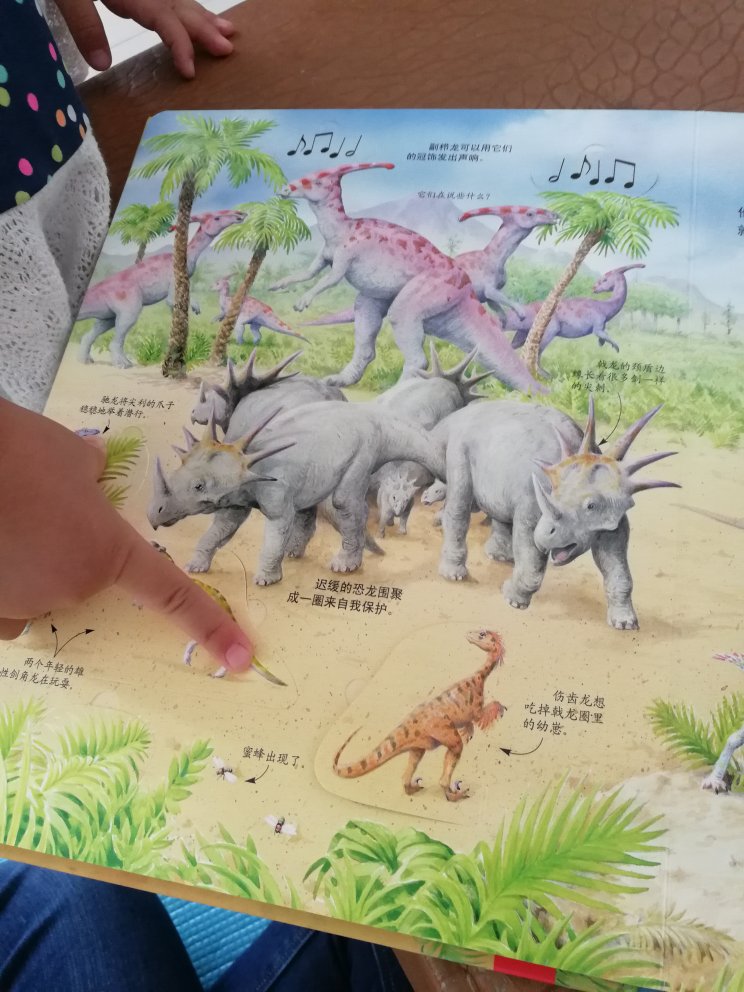 宝宝特别喜欢恐龙，每天都要看，翻页很多。