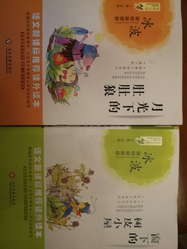 孩子的任务书籍，可以拿去给作者签名的哦。