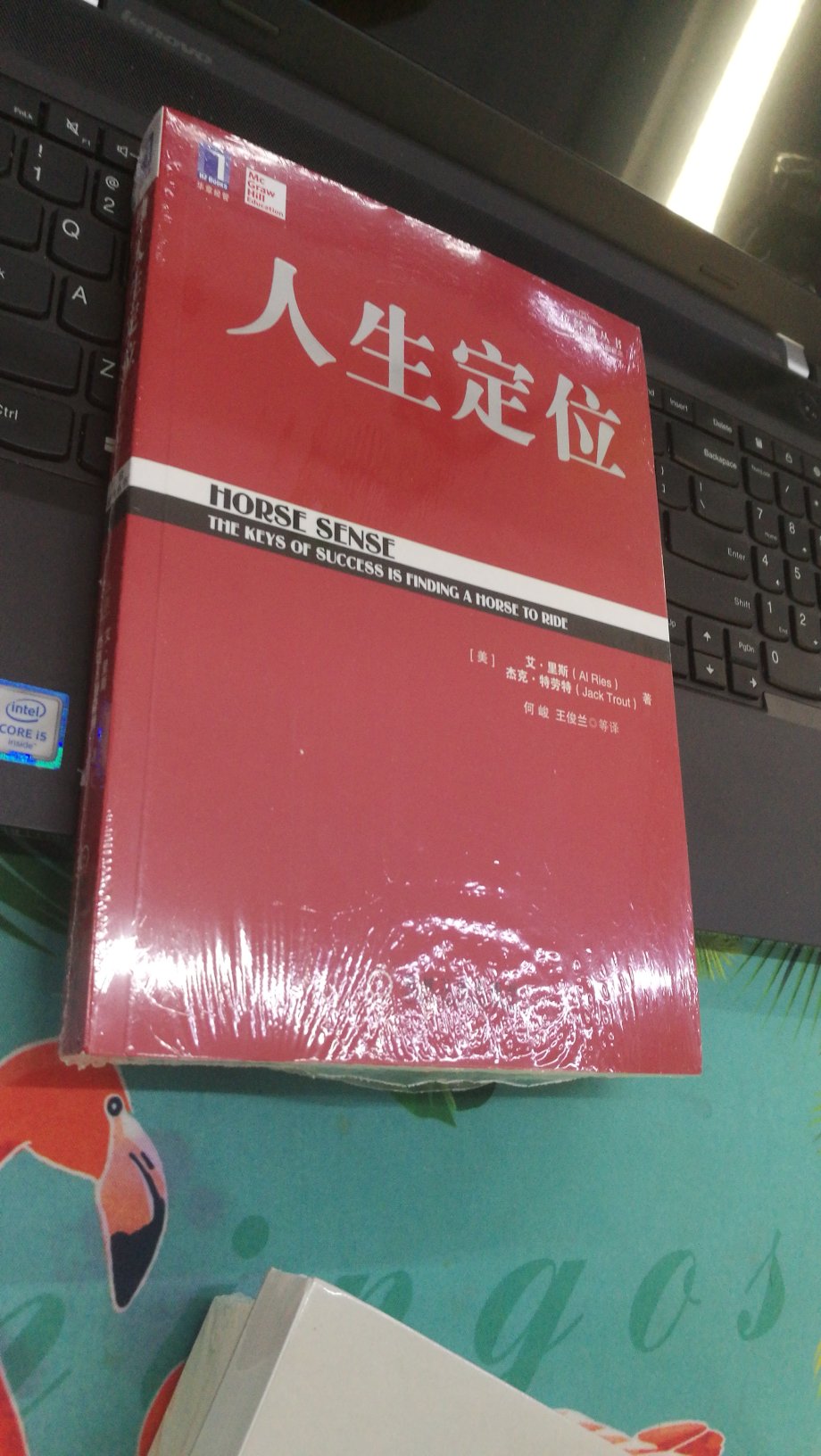 双十一在买书很划算，这本书是别人推荐的，应该不错，可惜买书如山倒，看书如抽丝，唉，希望自己可以养成看书的好习惯。