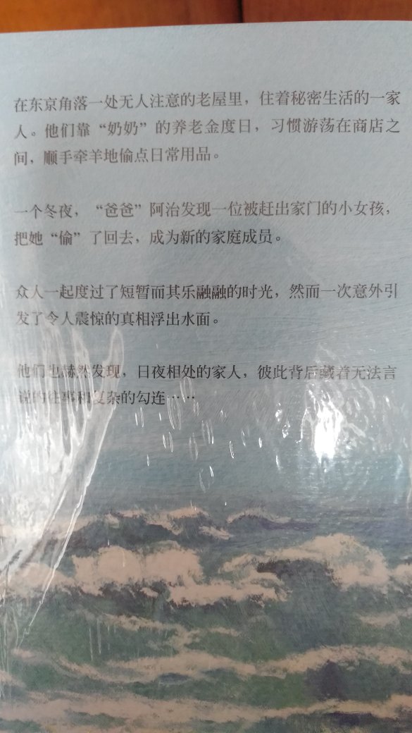 戛纳电影节金棕榈奖原著小说，是枝裕和积攒十年关于人性和社会的所有思考：“这是一个思考何为家庭的故事，一个要成为父亲的男人的故事，也是一个少年成长的故事。”。