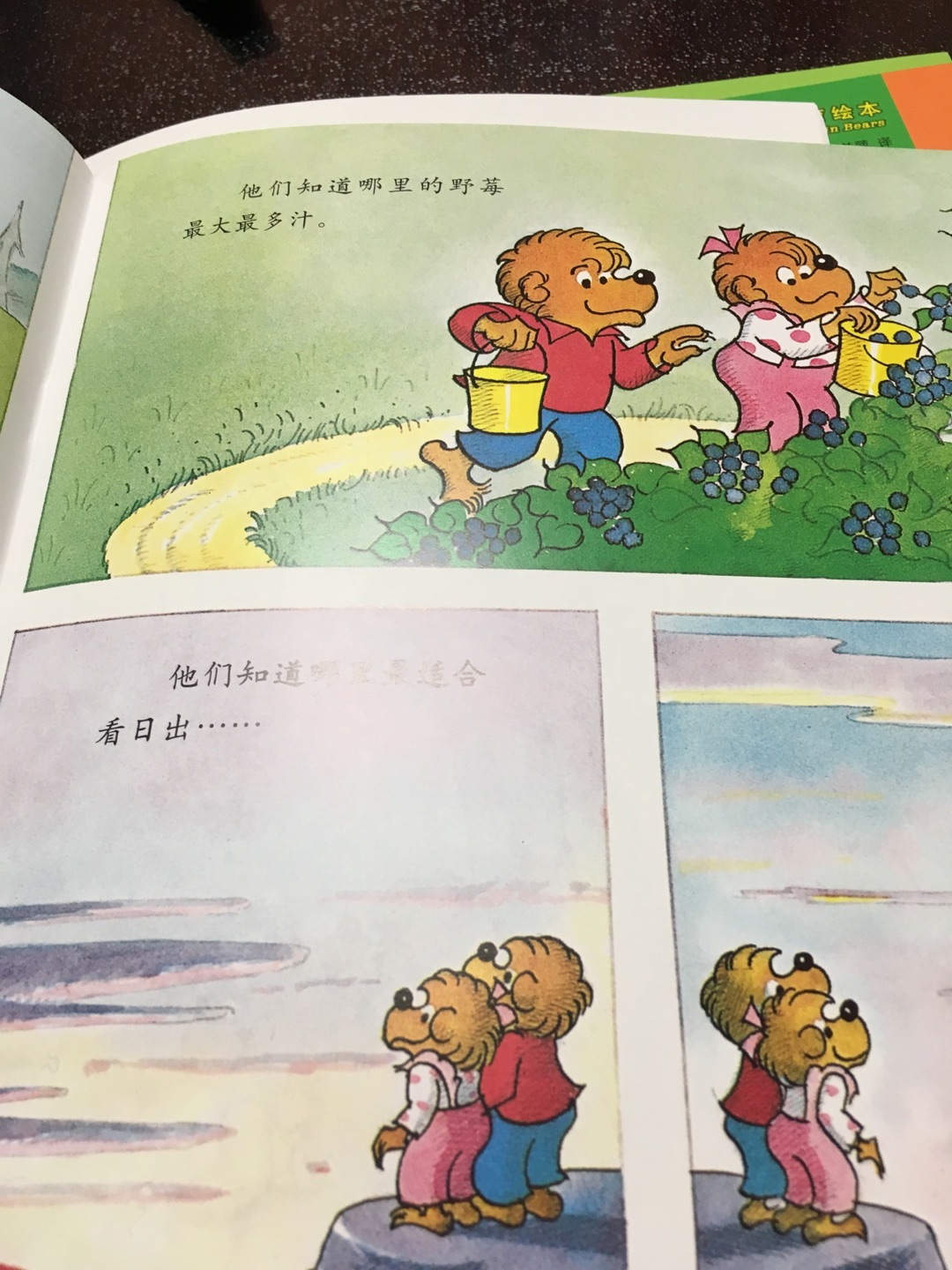 这套的图画和以前的贝贝熊系列的是一样的，孩子很喜欢贝贝熊系列丛书