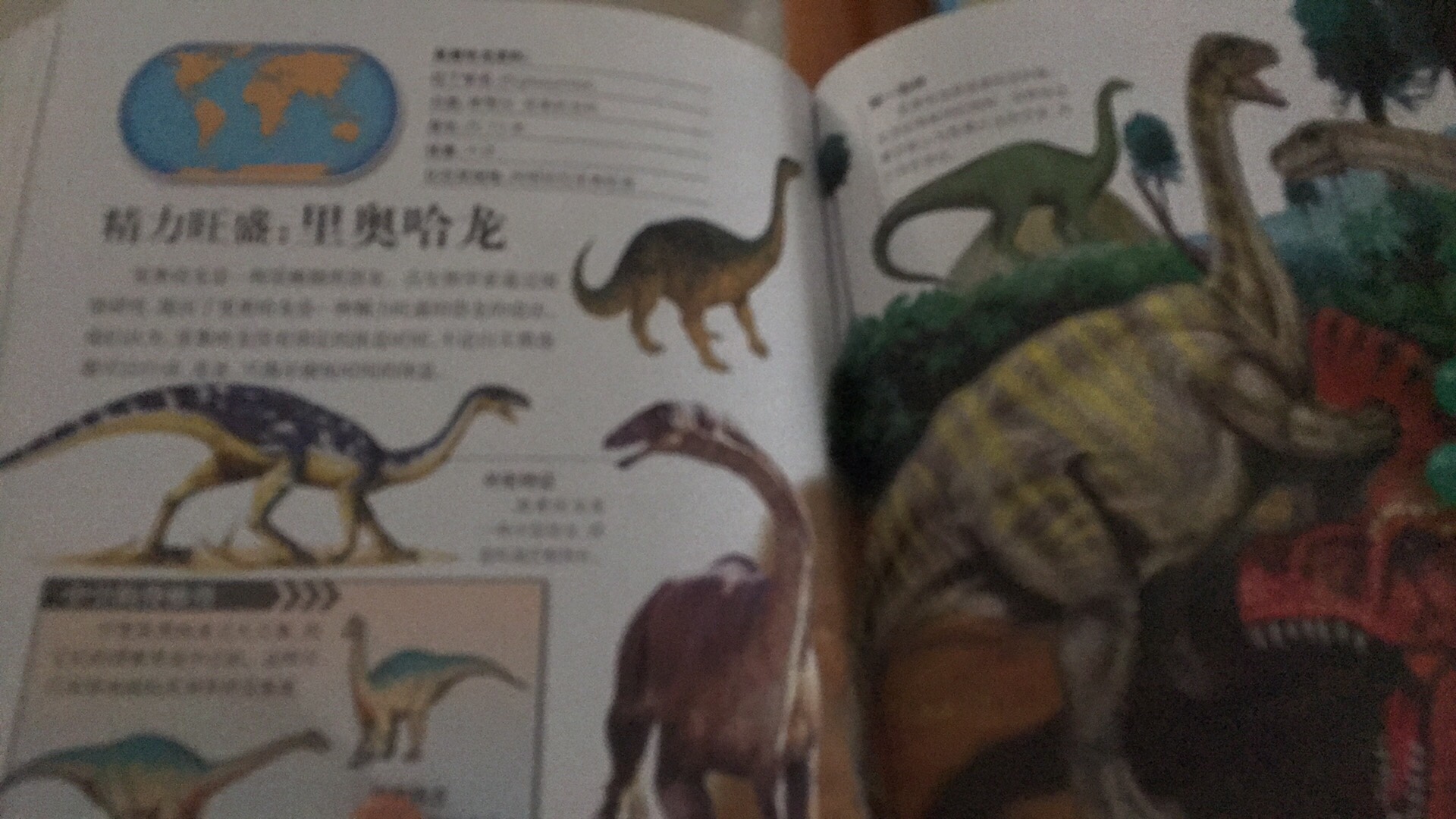 好多不认识也没有听说过的恐龙，很偏冷。